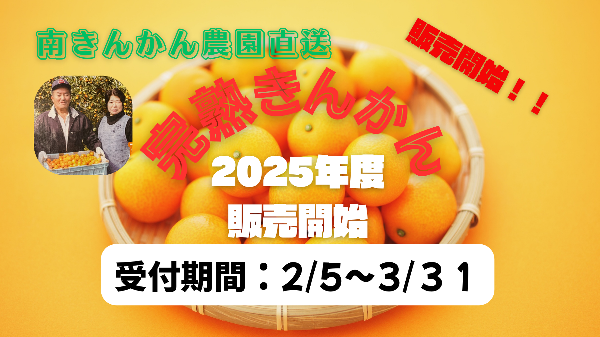 宮崎県産 完熟きんかん｜きんかんたまたま ネットショップ